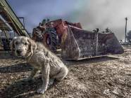 Montecelio lavori in Piazza San Giovanni-Cane Bianco- foto di Marco Pompili