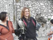 Un salto nel Medioevo con i Falconieri del Rosone alla Rocca medievale di Montecelio - Foto di Luciano Fioravanti