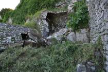 Il degrado alla Rocca di Montecelio