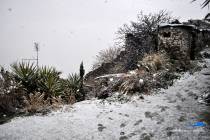 Neve a Montecelio 3 Febbraio 2012 - Foto di Damiano Graziani