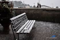 Neve a Montecelio 3 Febbraio 2012 - Foto di Damiano Graziani