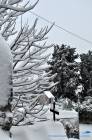 Neve a Montecelio 4 Febbraio 2012 - Foto di Damiano Graziani