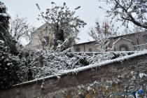 Neve a Montecelio 4 Febbraio 2012 - Foto di Damiano Graziani