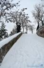 Neve a Montecelio 4 Febbraio 2012 - Foto di Damiano Graziani