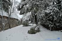 Neve a Montecelio 4 Febbraio 2012 - Foto di Damiano Graziani