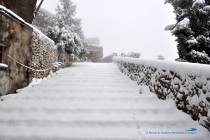 Neve a Montecelio 4 Febbraio 2012 - Foto di Damiano Graziani