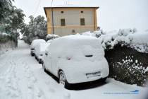 Neve a Montecelio 4 Febbraio 2012 - Foto di Damiano Graziani