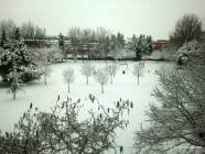 Neve al Bivio di Guidonia - Foto di Antonio Capitano