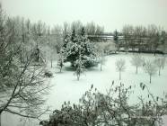 Neve al Bivio di Guidonia - Foto di Antonio Capitano