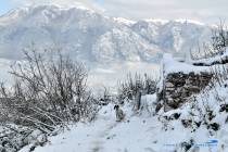 Panorama innevato - Foto di Damiano Graziani